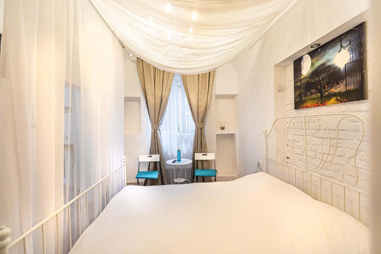 Museum Apartment Piata Sfatului ブラショフ エクステリア 写真